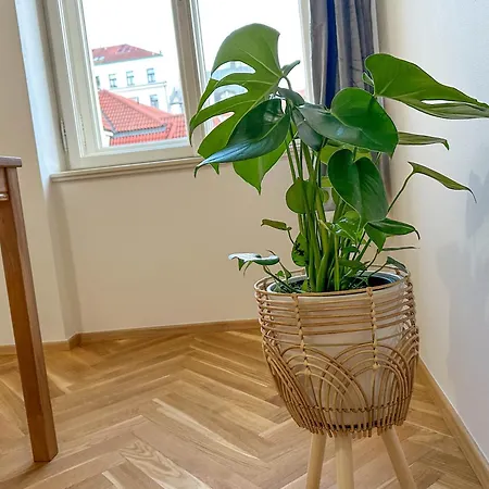 Apartment Stylish Next To Wenceslas Square *