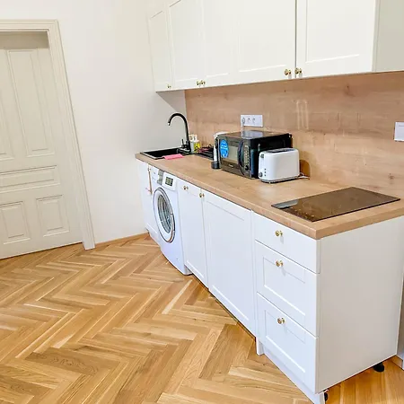Stylish Next To Wenceslas Square * Praag